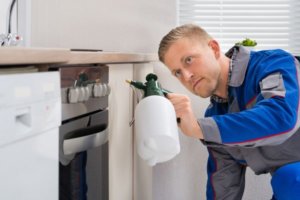 Blatox hu -csótányirtás reputation management